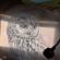 Tawny owl / Puszczyk